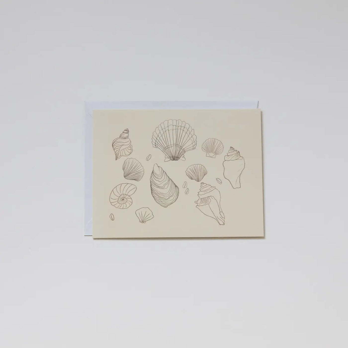 Shell Greeting Card